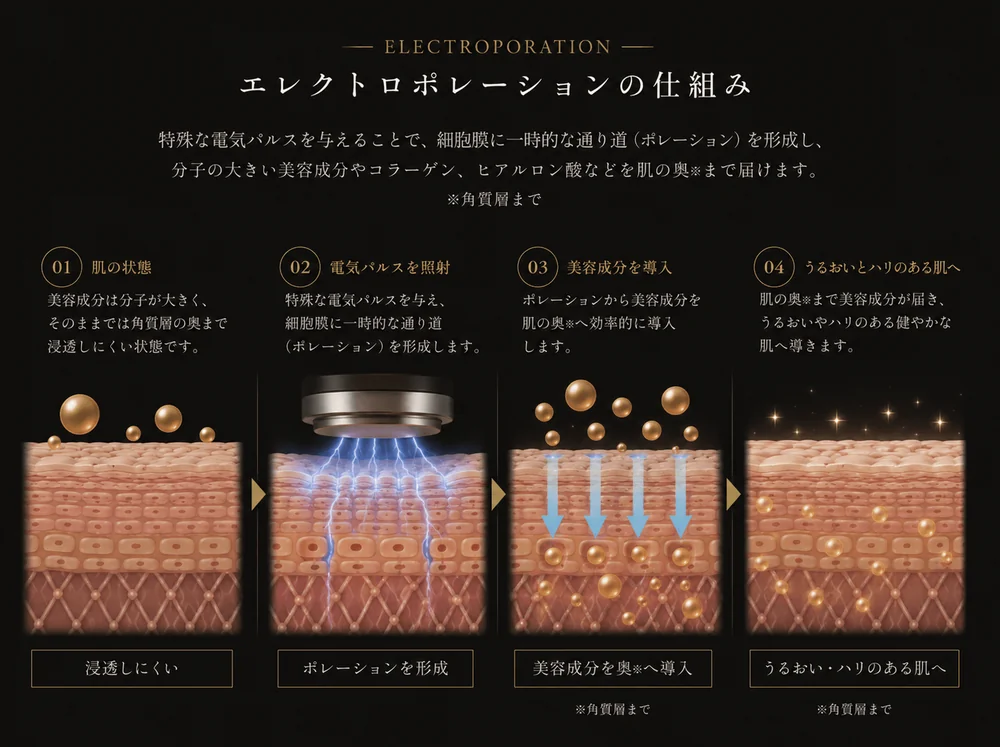 エレクトロポレーション