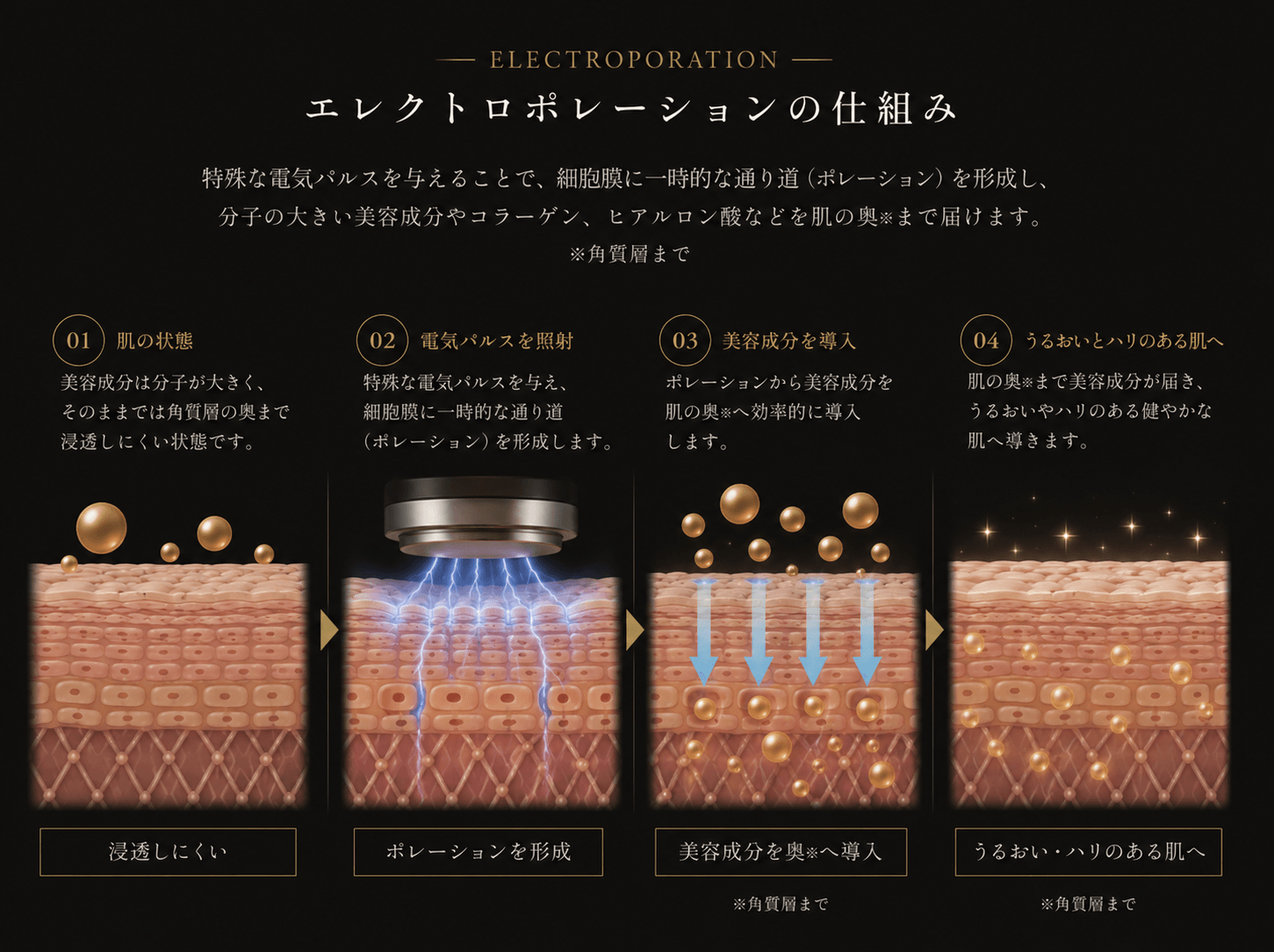 エレクトロポレーション